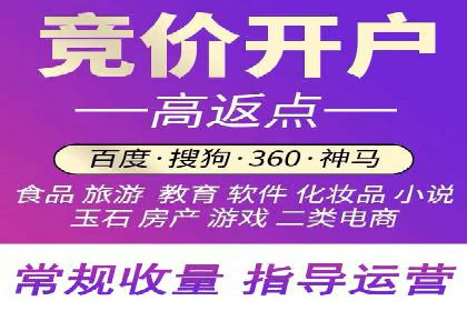 SEM竞价实战：成功案例解析